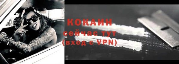 прущие грибы Аркадак