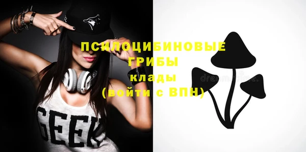 прущие грибы Аркадак